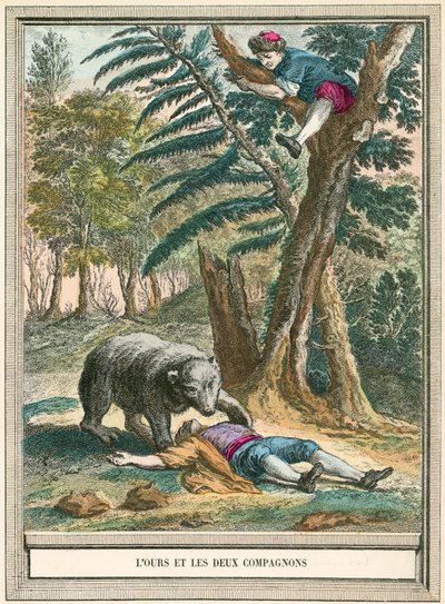 The Bear and the Two Companions by French School